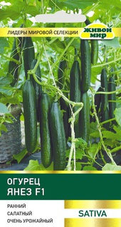 Огурец Янез F (Sativa) 5 шт