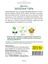 Фасоль Золотая гора спаржевая (Sativa) 15 г