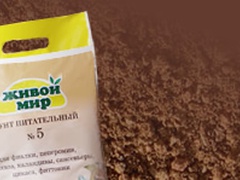 О нас