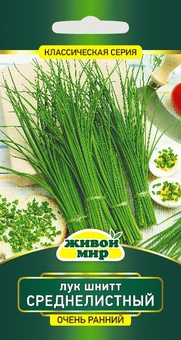Лук шнитт Среднелистный (W. Legutko) 0,5 г