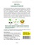 Фасоль Каннеллино зерновая (Sativa) 20 г