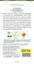Кукуруза Старшайн F1 сахарная (Syngenta) 15 шт
